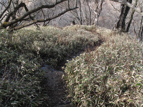 20171207hike (231)